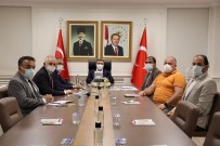 DÜZCE ÜNİVERSİTESİ - Düzce'de Asilama Alanlari Belirlendi