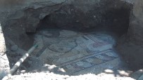 ZEUGMA - Kaçak Kazi Sirasinda Tarihi Mozaikler Ortaya Çikti