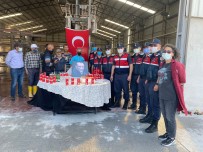 FABRIKA - Kavga Ihbarina Gelen Jandarma Ekiplerine Sürpriz