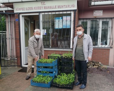 Kent Merkezindeki Muhtarlara Fide Dagitimi