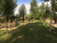 YENI DÜNYA - Osmaneli'ndeki Parklar Meyve Bahçesine Dönecek