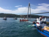 MEHMETÇIK - Yavuz Sultan Selim Köprüsü Altinda Balikçi Teknesi Ile Gemi Çarpisti