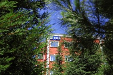 +1 Egitim Modeline YÖK Destegi