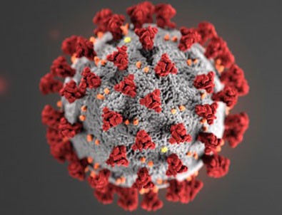 18 Haziran koronavirüs tablosu!