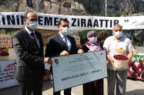 AMASYA VALİSİ - Amasya'da Kirazlar Yaristi Açiklamasi Birinciye 3 Bin TL Ödül