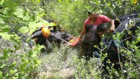 MEDİKAL KURTARMA - Kanyonda Kaybolan Gencin Cesedine 3 Gün Sonra Ulasildi