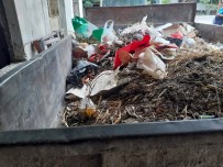 ORMAN MUHAFAZA MEMURU - 'Kokuyor' Diye Sikayet Edilen Evden 1 Römork Dolusu Çöp Çikti