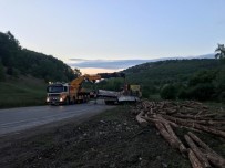 Tomruk Yüklü Tir Devrildi, Sürücü Yaralandi