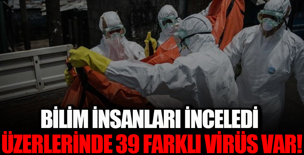 Üzerlerinde 39 farklı virüs ortaya çıktı! Bilim insanları araştırma sonuçlarını yaydı