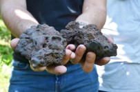 KARADENIZ - Bahçesinde Meteor Buldu