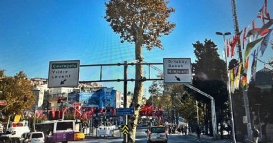 İBB Beşiktaş'taki 150 yıllık anıt çınarı yok etti
