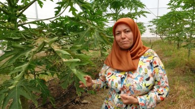 Manavgat Meslek Yüksekokulu Kalifiye Eleman Eksigini Giderecek