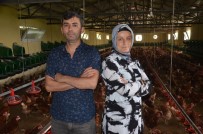 ORGANİK YUMURTA - Organik Yumurta Üretimi Yapan Kari-Koca, Ihracata Basladi