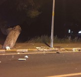 DİREKSİYON - Urla'da Motosiklet Sürücüsü Kazada Hayatini Kaybetti