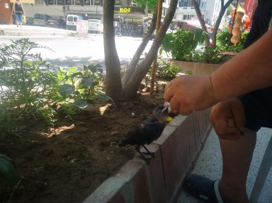 Yarali Kargaya Esnaf Sahip Çikti