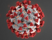 2 Haziran koronavirüs tablosu açıklandı!