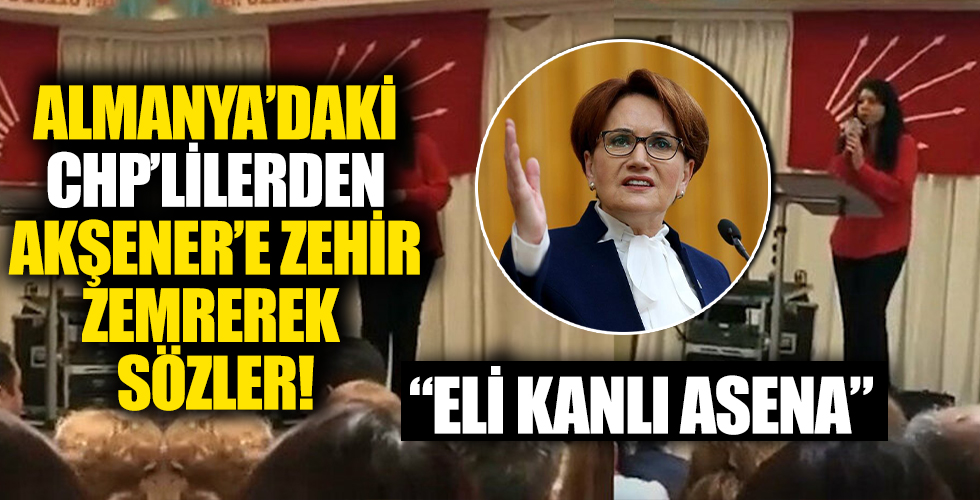 Almanya’da toplantı düzenleyen CHP’lilerden Meral Akşener’e: Eli kanlı katil asena