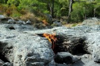 ROMANYA - Antalya Kemer Çıralı'daki sönmeyen ateş Cumhurbaşkanlığı kararnamesiyle Kesin Korunacak Hassas Alan ilan edildi