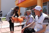 BABALAR GÜNÜ - Babalar Gününde Anlamli Ziyaret