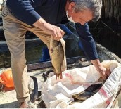 BARLA - Egirdir Gölü'nde Kaçak Ava 19 Bin 856 Lira Para Cezasi