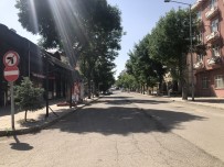 SOKAK KÖPEKLERİ - Kars'ta Caddelerde Hafta Sonu Sessizligi