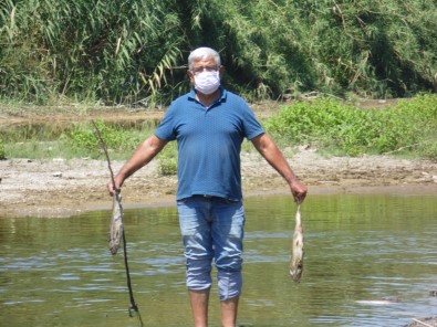 Menderes'teki Balik Ölümleri Endiselendirdi
