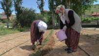 ENDEMIK - (ÖZEL) Çiftçi Kadinlar Yeni Projeleri Ile Pandemide De Üretmeye Devam Ediyor