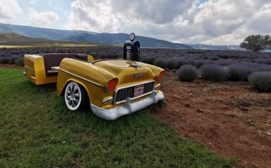 (Özel) Dinar'dan Geçerken Bu Tarlalara Muhakkak Ugrayacaksiniz