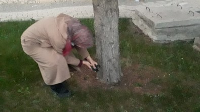 Yuvadan Düsen Minik Saksaganlar Için Itfaiye Seferber Oldu