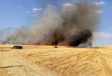 15 Dönüm Arazide Ekili Arpa Kül Oldu