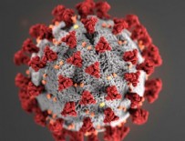 21 Haziran koronavirüs tablosu!