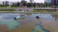 AKDENIZ ÜNIVERSITESI - Bogaçayi Bilim Kurulu Toplandi