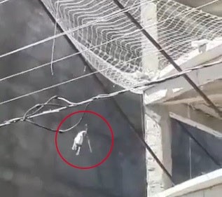 Çatida Mahsur Kalan Köpek Yedinci Kattan Atladi