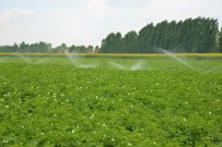 BEKIR PAKDEMIRLI - Denizli'de Sulama Sezonu Basladi