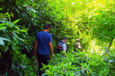 Gümüshane'deki Kayip Sahsi Arama Çalismalari Devam Ediyor