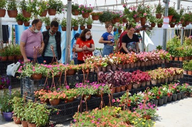 Manisa'da Çiçek Festivali Ve Mesir Fuari Açildi
