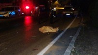 ÜST GEÇİT - Mersin'de Otomobilin Çarptigi Yaya Hayatini Kaybetti