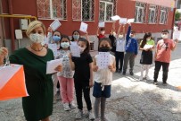 FEN BILGISI - Okullarda Telafi 'Etkinlikleri' Basladi