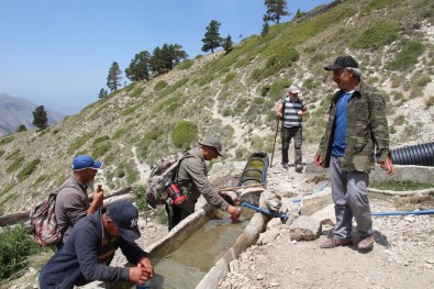 Oltulu Dogaseverler Babalar Için Yürüdüler