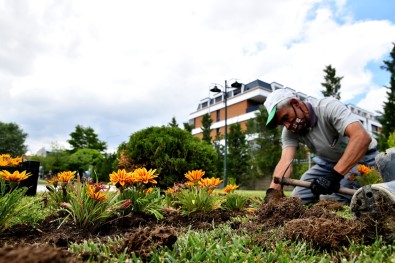 Rengarenk Çiçekler Tepebasi'ni Süslüyor