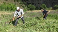 TEKNOLOJI - Van'da Asirlik Ot Biçme Araci Tirpan Teknolojiye Meydan Okuyor