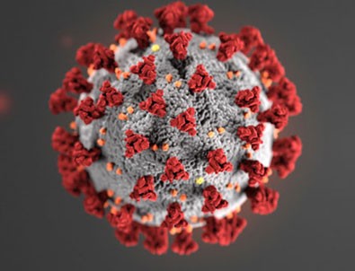 22 Haziran koronavirüs tablosu!