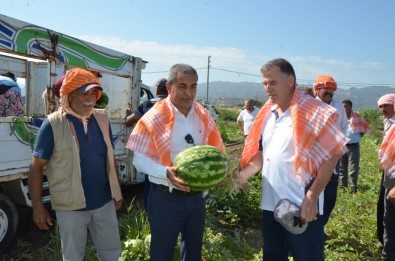 Baskan Kaplan'dan 'Cincin Karpuzu' Için Markalasma Hamlesi