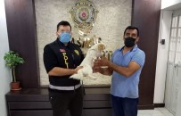 Çalindiktan Sonra Bulunan Köpek Sahibine Teslim Edildi