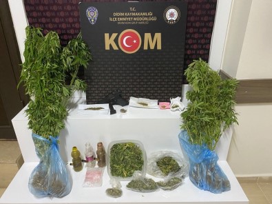 Didim'de Hint Keneviri Operasyonu