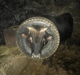 Inegin Basina Geçen Araba Lastigi Itfaiye Ekipleri Tarafindan Çikarildi