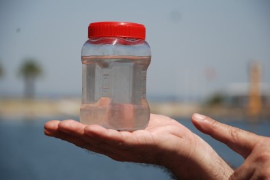 Müsilaja Neden Olan Mikroorganizmalarin DNA'si Incelenecek