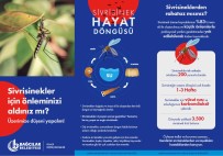ANİMASYON - Sivrisineklere Karsi 3K Yöntemi