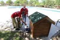 Sokak Hayvanlari Için Yem Ve Su Birakildi