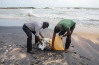 KOZMETİK ÜRÜNLER - Sri Lanka'da Gemi Yangininin Etkileri Sürüyor Açiklamasi Ölü Kaplumbagalar Kiyiya Vurdu